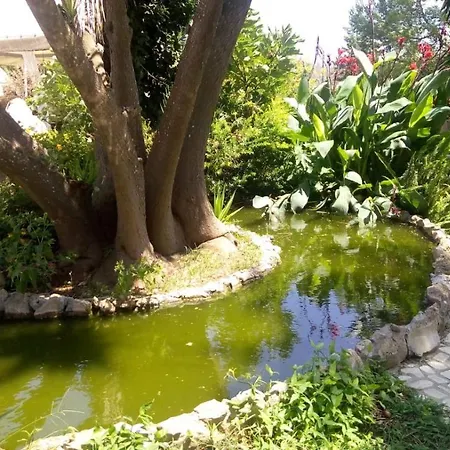 Scipponate Panzió 3*