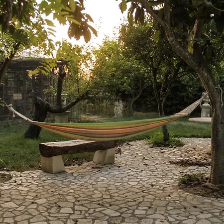 Scipponate 3* Collepasso