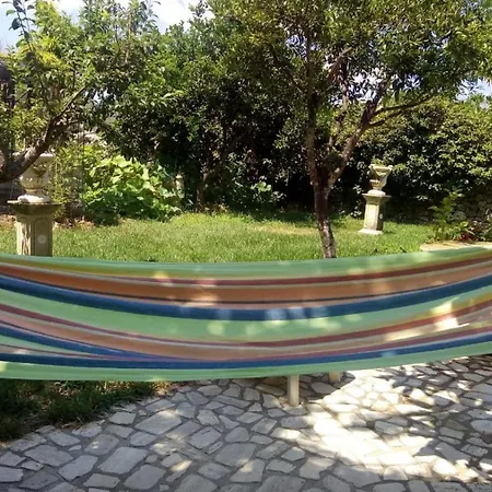 Scipponate 3* Collepasso