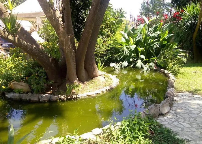 Scipponate Bed & Breakfast 3*